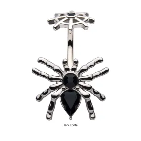 Belly Ring Spider Black