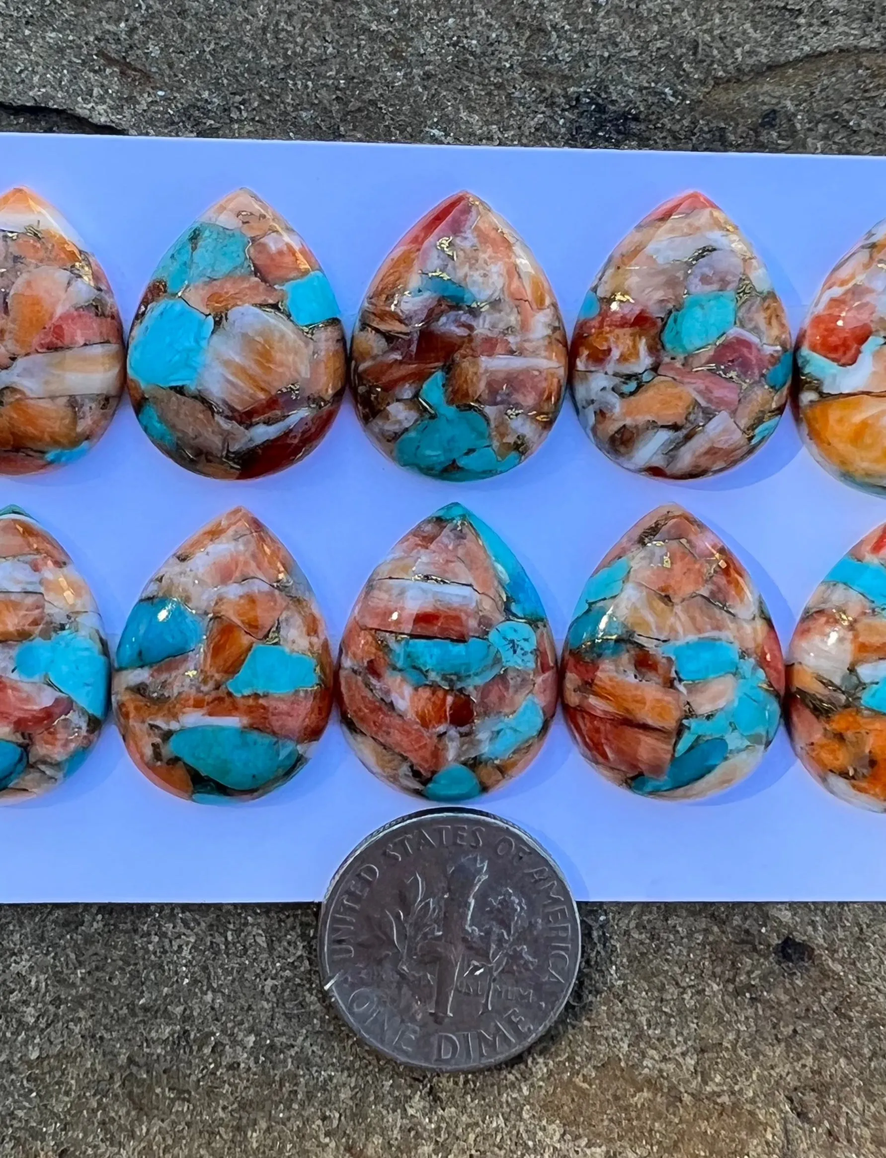 Kingman Turquoise, Spiny Oyster and Bronze Teardrop Cabochons 15x20mm,(One Cabochon)