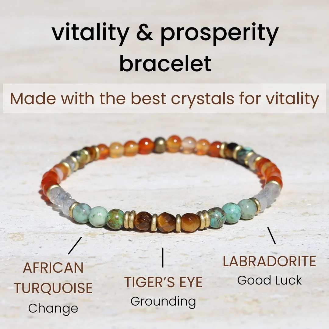 Vitality and Prosperity Carnelian and African Turquoise Bracelet